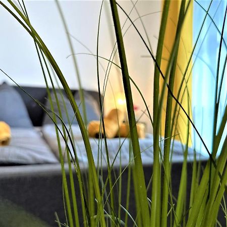 Gemuetliches Studio Im Bayerwald +Pool +Sauna +Wifi Zwiesel Exterior photo